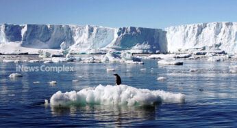 Hilangnya Es Laut Antartika: Peristiwa Langka dalam 2.000 Tahun Akibat Perubahan Iklim