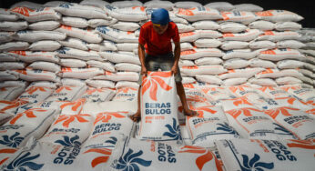 Bulog Karawang Sukses Serap 136% Gabah: Dukungan Penuh untuk Petani