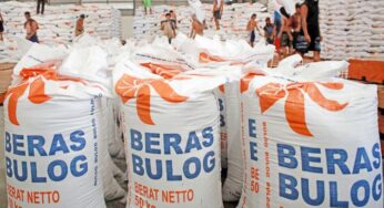 Bulog Serap Beras 800 Ribu Ton dari Petani, Apa Artinya untuk Ketahanan Pangan Nasional