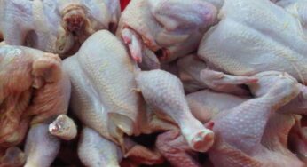 Prediksi Harga Daging Ayam Pekan Depan: Akan Kembali Normal?