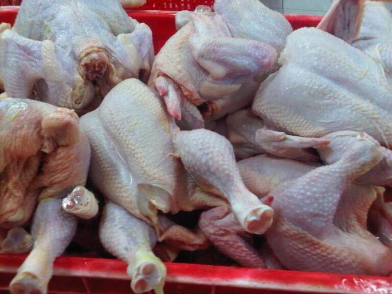 Harga Daging Ayam