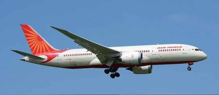 Pesawat Air India Tetap Terbang Meski Mesin Rusak Akibat Tabrakan dengan Burung, Kini Diselidiki Otoritas