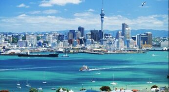 Gelombang Kepergian Warga dan Pukulan bagi Pemerintah