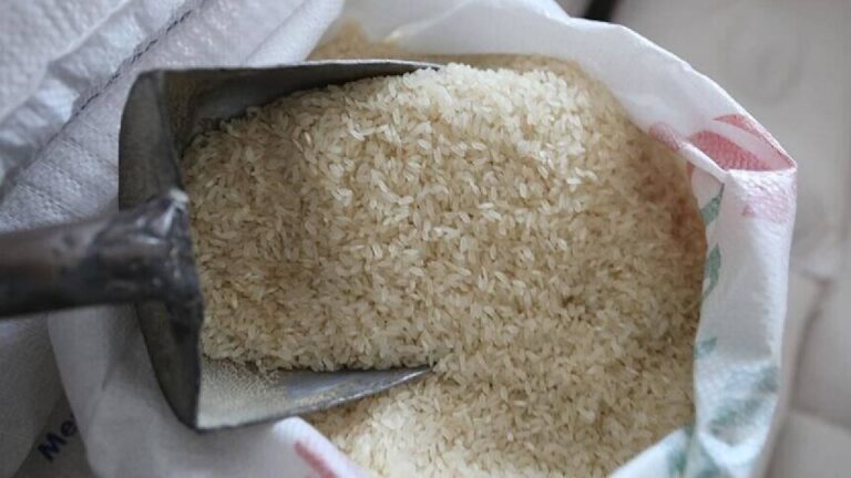 China Kirim 15.000 Ton Beras untuk Kuba, Dukungan Besar di Tengah Tekanan Embargo AS