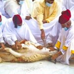 Idul Adha Kembali Semarak di Maroko, WNI Saksikan Kembalinya Tradisi Kurban