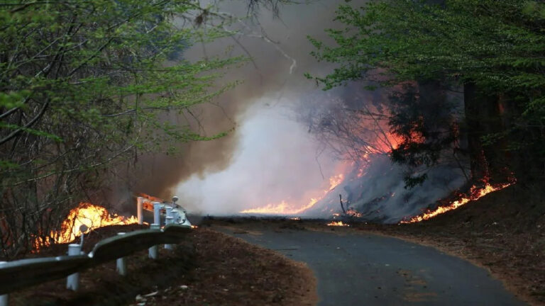 Kebakaran Hutan Jepang 2026: Tragedi Besar yang Menguji Ketangguhan Negeri Sakura